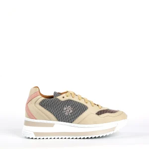 Deportivos POPA Almanzor Beige Multicolor