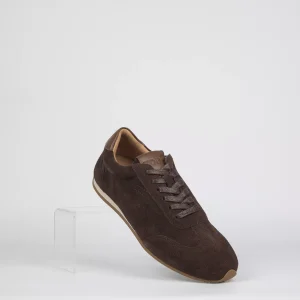 Deportivos TOP3 SA701 Marrón