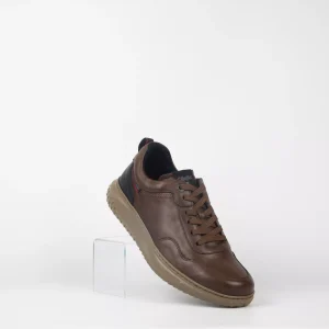Zapato Casual Callaghan 60802 Marrón